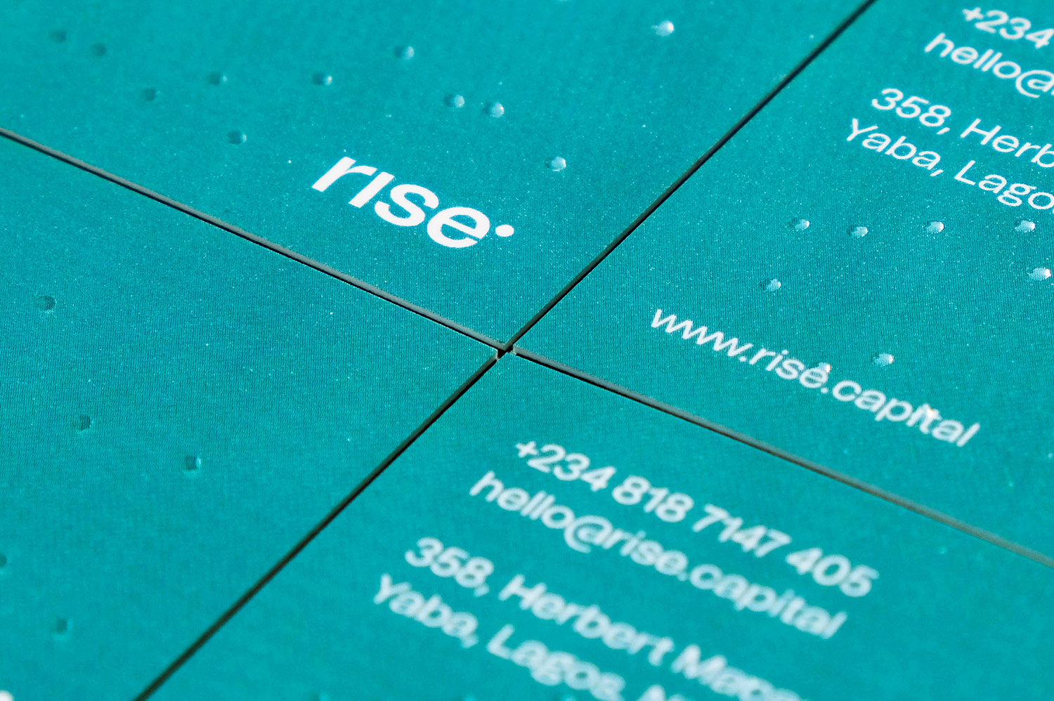 Rise-Case-Study-Business-Card-070722-SO